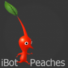 iBotPeaches